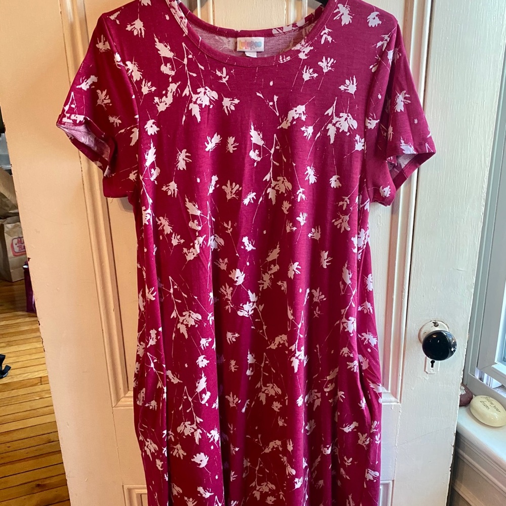 Lula Roe Jessie Swing Dress Large
